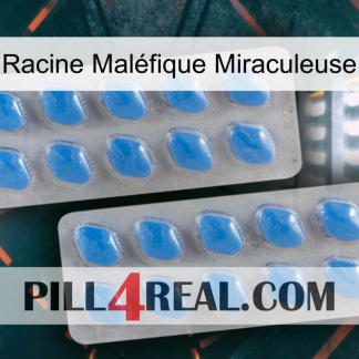 Racine Maléfique Miraculeuse 23